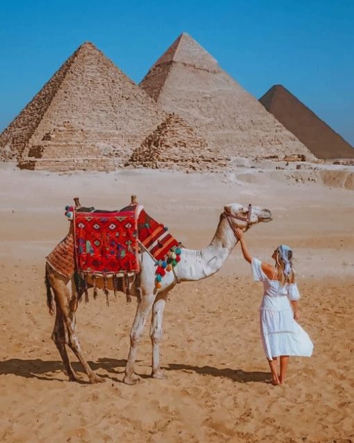 Girl And Camel In Egypt The Great Pyramid Of Giza paint by numbers