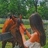 Girl With Her Brown Horse Paint By Numbers