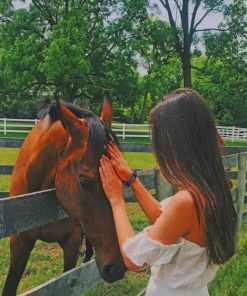 Girl With Her Brown Horse Paint By Numbers