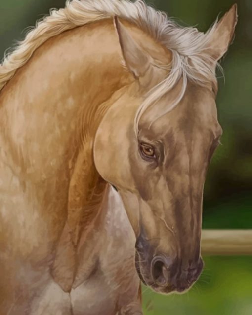 Beige Horse Paint by numbers