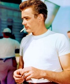 James Dean Paint by numbers