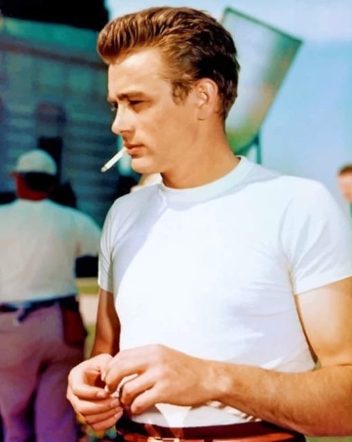 James Dean Paint by numbers