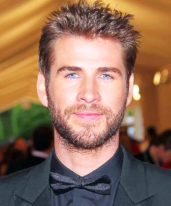 Liam Hemsworth paint by numbers