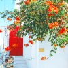 Orange Flowers Tree Mykonos paint by numbers