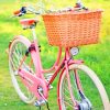 Pink Bicycle With Basket paint by numbers