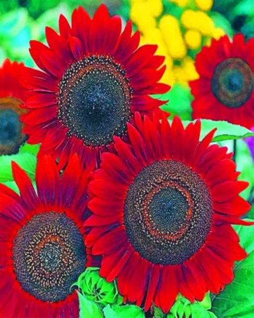 Red Sunflowers paint by numbers