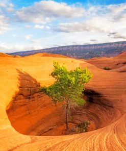 Southern Africa Desert paint by numbers