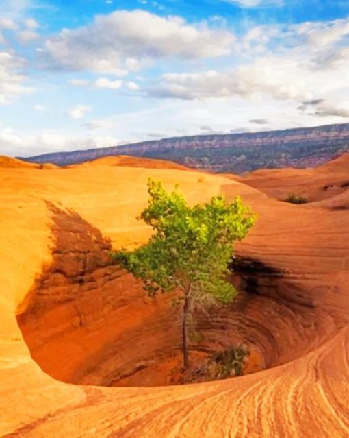 Southern Africa Desert paint by numbers