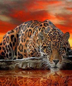 Tiger Water Reflection paint by numbers