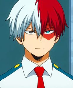 Todoroki Anime paint by numbers