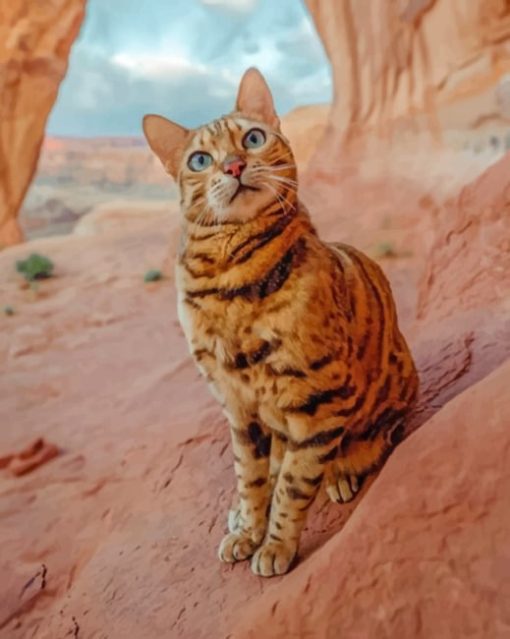 Bengal Cat paint by numbers