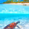 Tropical Beach Sea Turtle paint by numbers