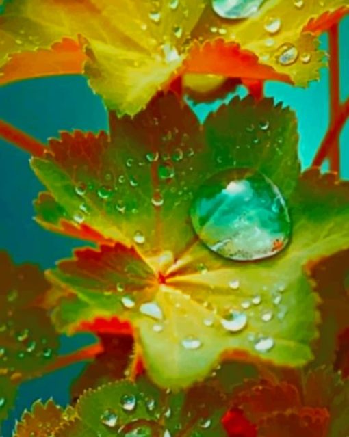 Water Drop Leaves paint by numbers