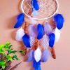 White And Blue Dream Catcher paint by numbers