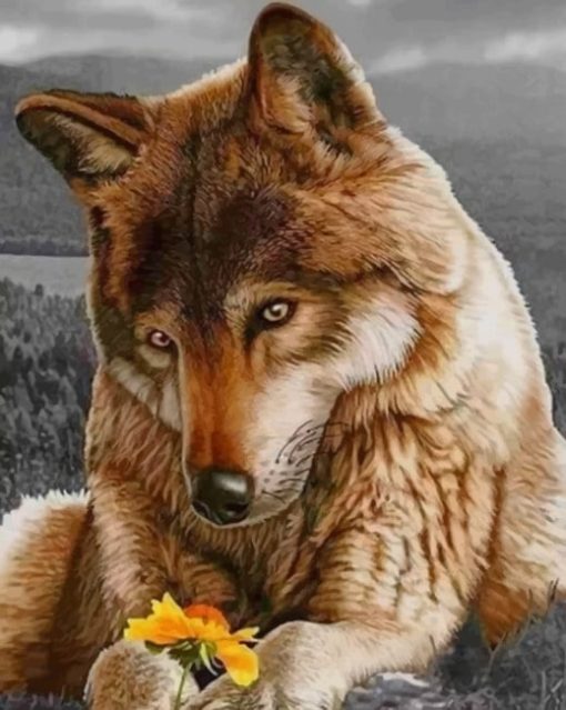 Brown Wolf And Flowers paint by numbers