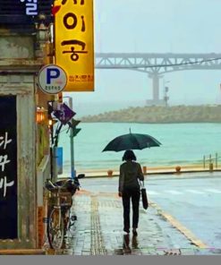 Woman Under Umbrella In A Korean Street Paint by numbers