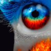 Fire And Ice Eye paint by numbers