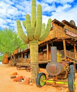 Goldfield Ghost Town and Mine Tours Inc paint by numbers