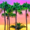 Aesthetic Palms Sunset paint by numbers