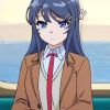 Bunny Girl Senpai Paint by numbers