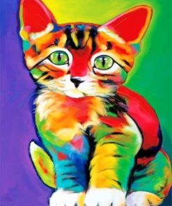 Colorful Cat paint by numbers