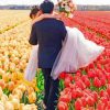 Couple In A Field Of Flowers Paint by numbers