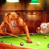 Dogs Playing Pool Paint by numbers