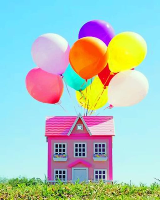 Pink Flying House paint by numbers