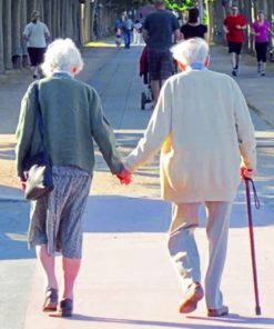 Old Couple Holding Hands paint by numbers