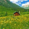 Cabin in nature paint by numbers