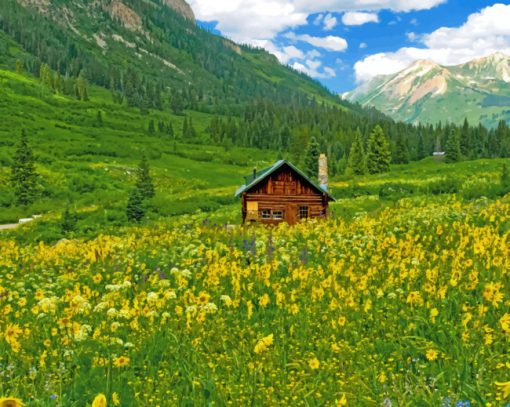 Cabin in nature paint by numbers