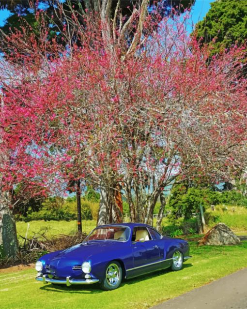 Classic Blue Car paint by numbers