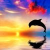 Jumping Dolphin silhouette paint by number