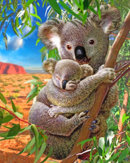 Koalas Bear paint by numbers