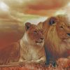 Lion Couple paint by number