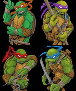 Ninja Turtles paint by number