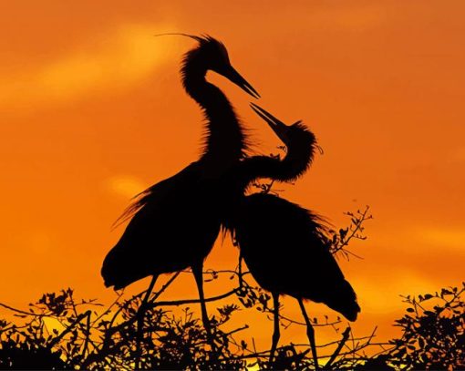 Stork Birds silhouette paint by number