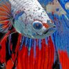 Siamese Fighting Fish Paint by numbers