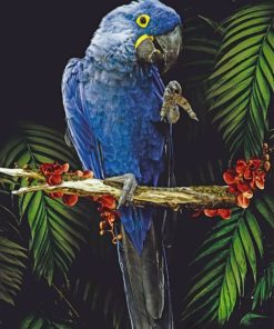 Blue Parrot Paint by numbers