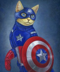 Captain Meow paint by numbers