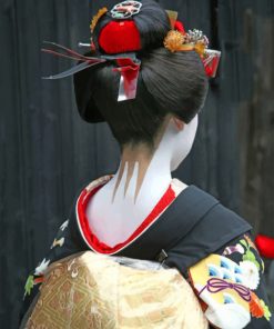 Japanese Woman paint by numbers