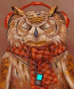 Owl Listening To Music paint by numbers