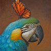 Parrot And Butterfly paint by nummbers