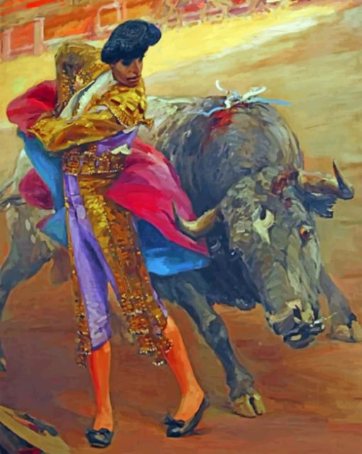 Spanish Bullfighter paint by numbers