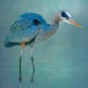 Blue Heron paint by number