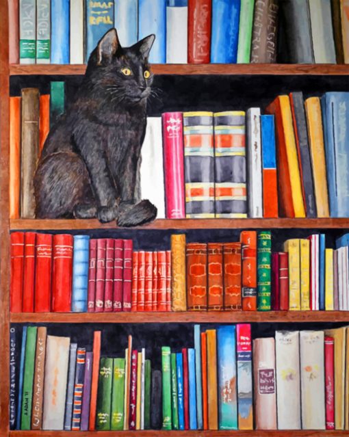 Cat On bookshelf paint by numbers