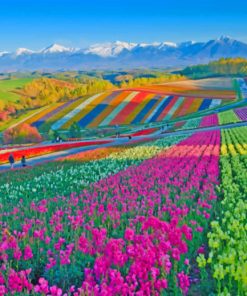 Colorful Flower Field paint by number