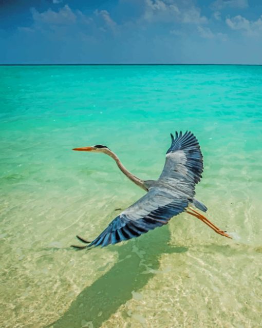 Crane In Maldives Beach paint by number