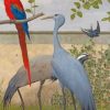 Cranes And Macaw paint by numbers