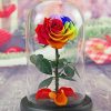 Led Rose Bottle paint by numbers